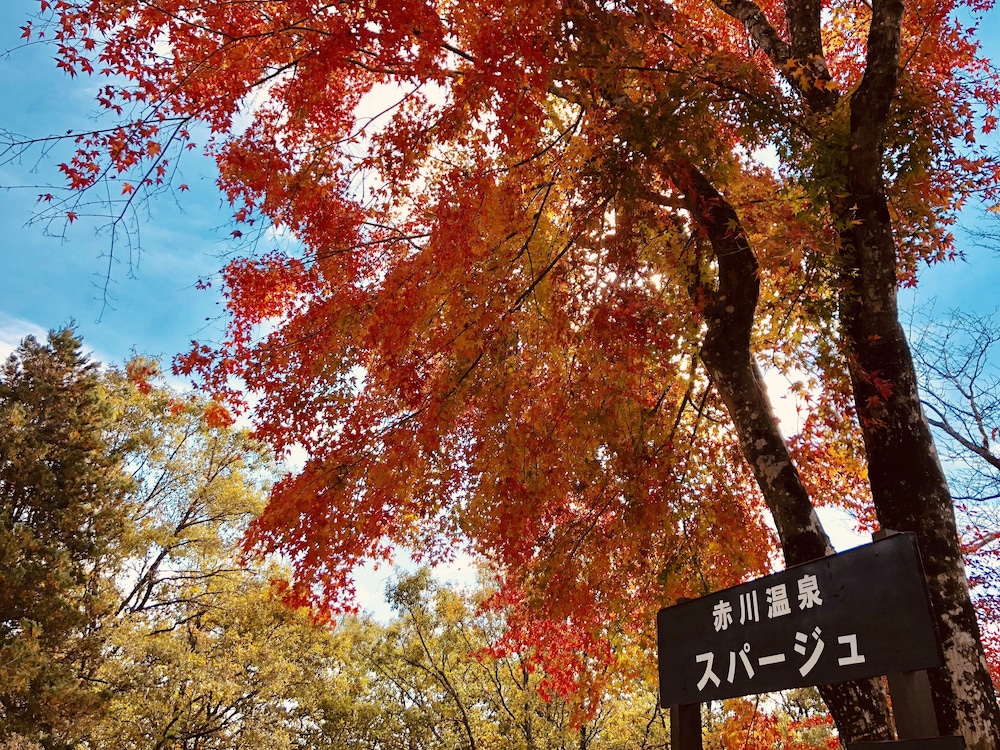 Akagawa Onsen Spaju