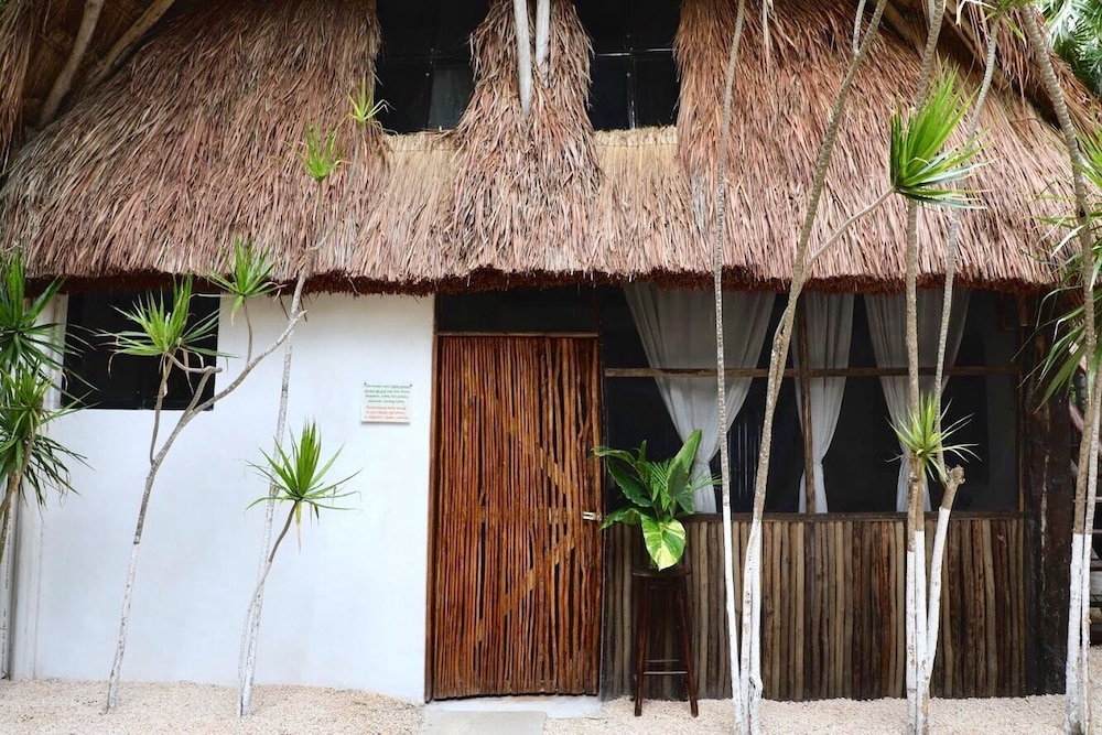 Tuup Jungle