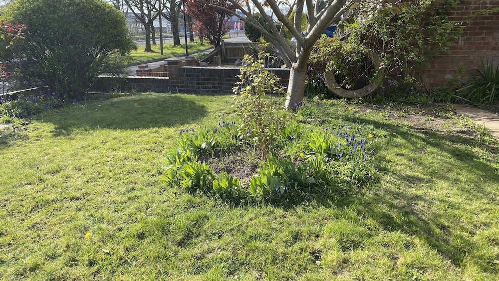 Photo 19
