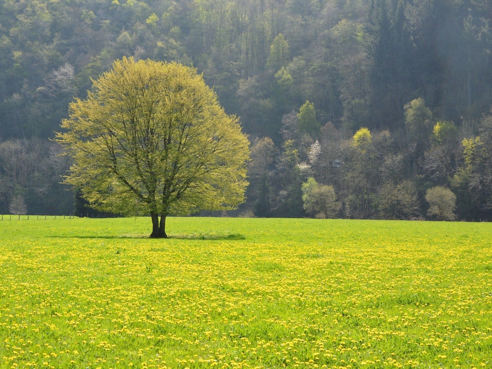 Chalet Just Outside Hampteau Offering Magnificent Views Across the Ourthe Valley