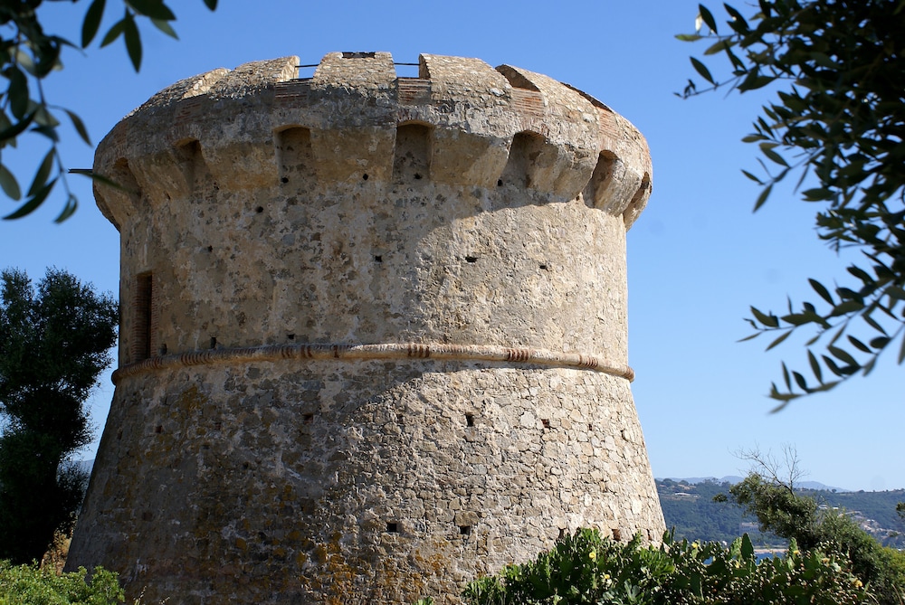 Photo 25