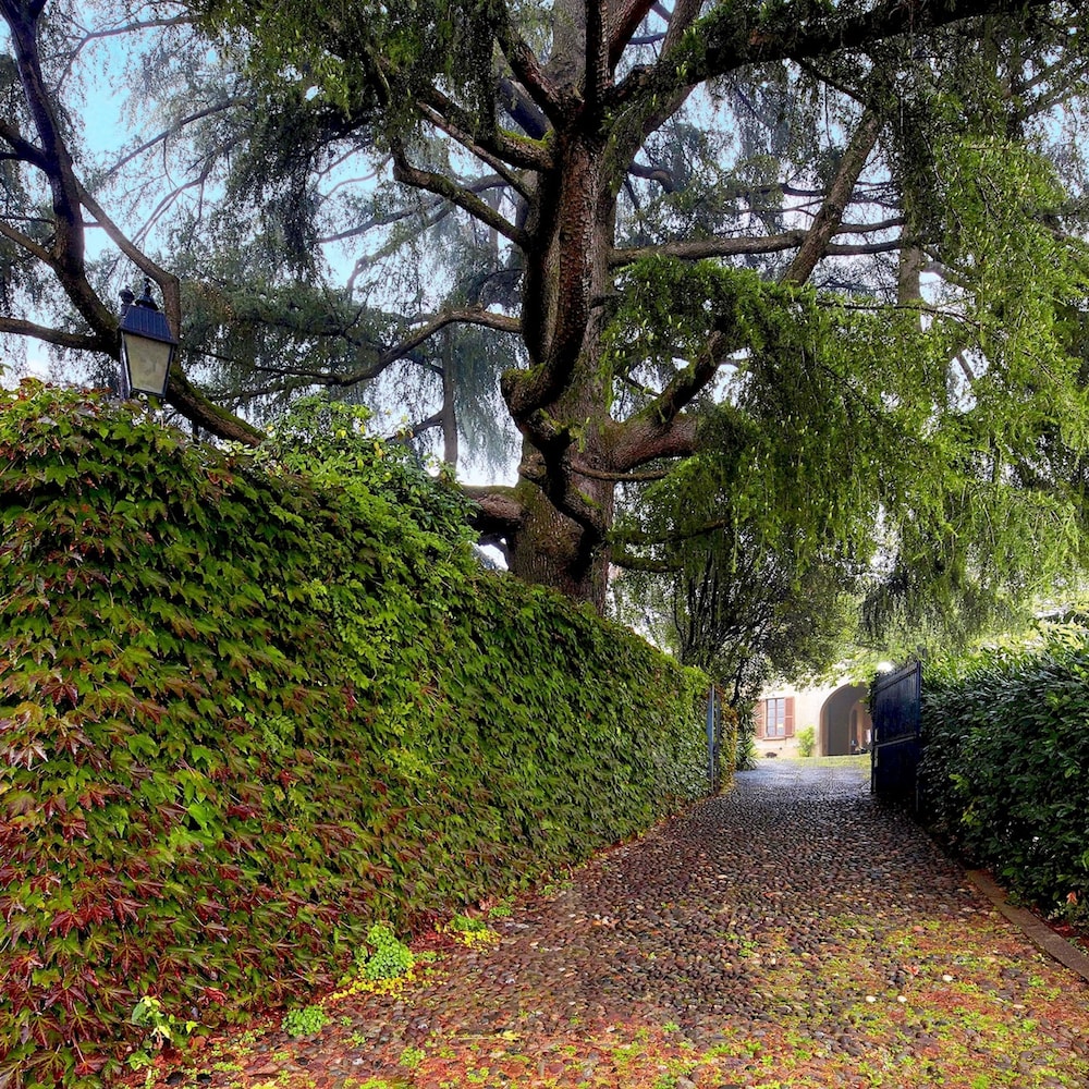 Photo 40
