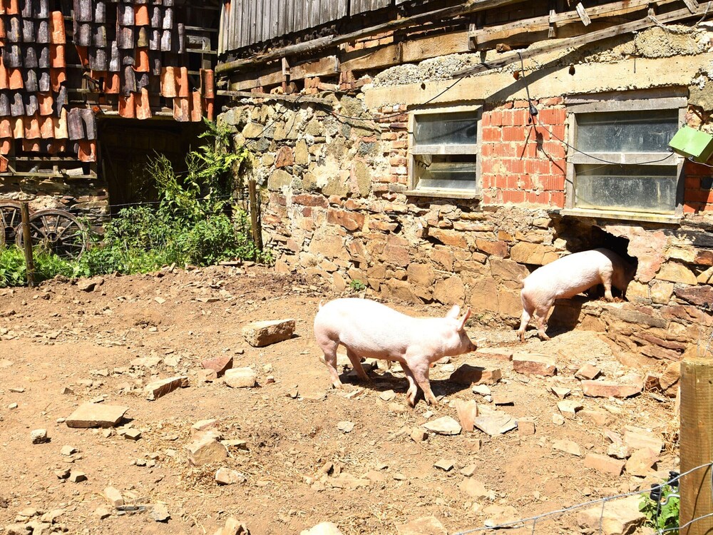 Holiday Farm Situated Next to the Kellerwald-edersee National Park With a Sunbathing Lawn