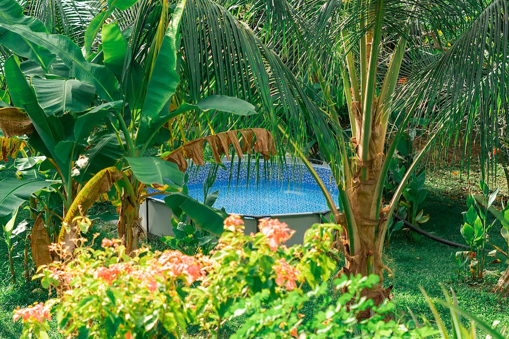 Magic Greeen Tayrona