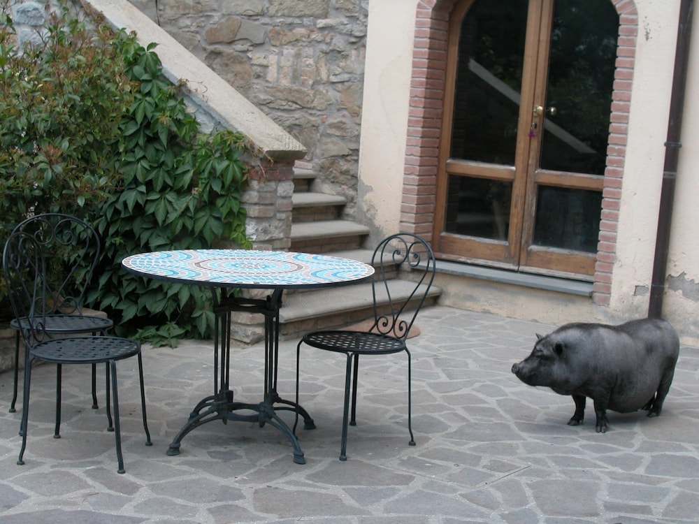 Farmhouse With Stables, Horses and the Ability to Make Horseback Riding