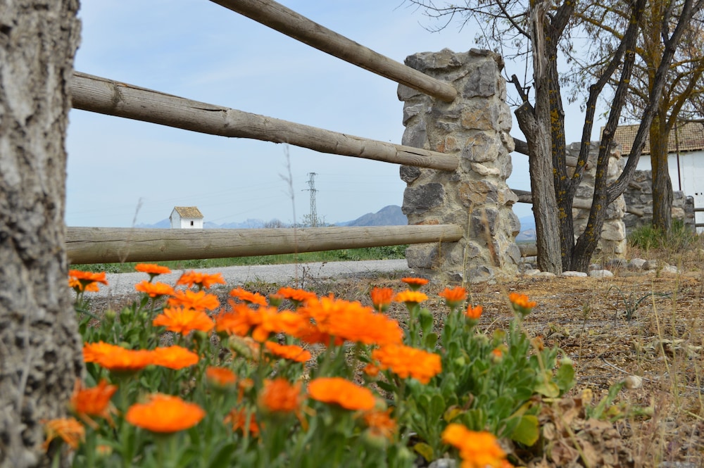 Alojamiento rural El Cortijuelo