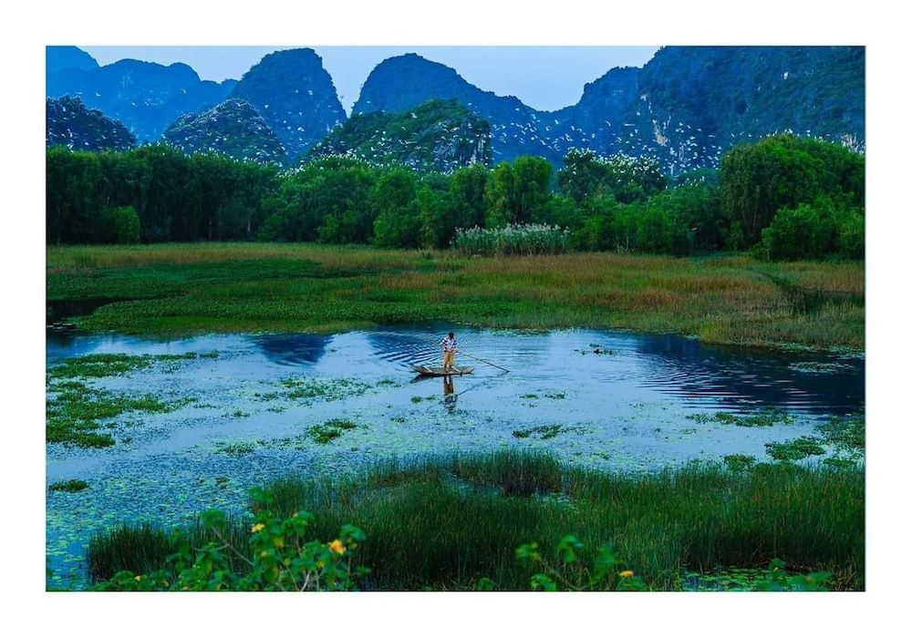 Van Long Family Homestay