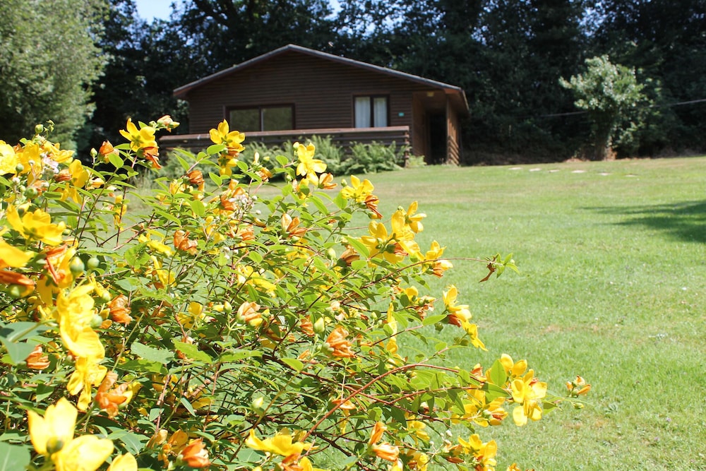 Bodmin Vacations - Ruthern Valley Holidays - Property Image 11