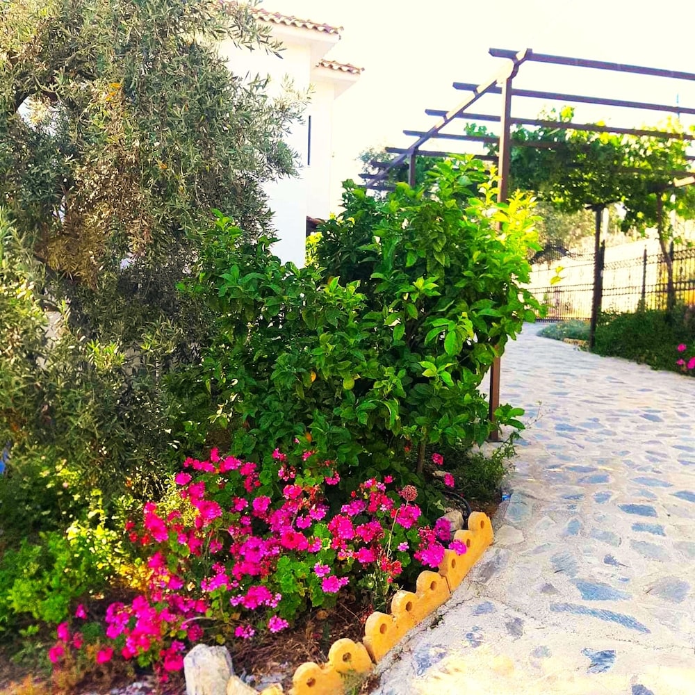 Photo 31