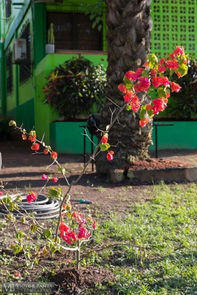 Belize Toucan Nest Hotel