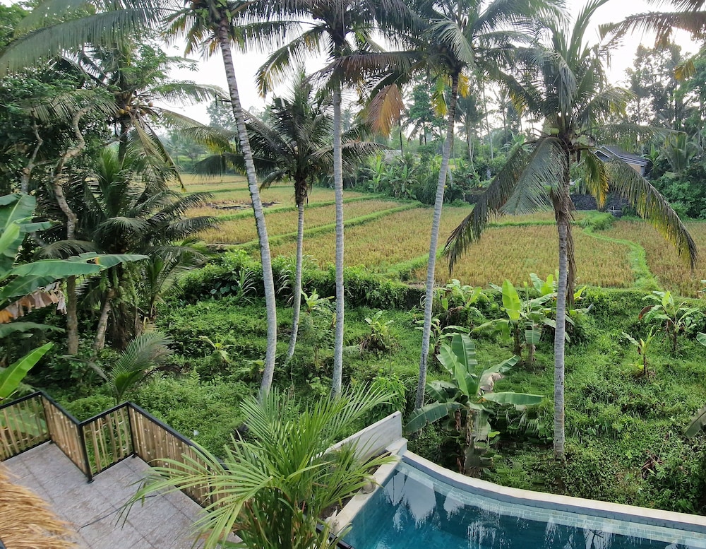 Bali View Ubud