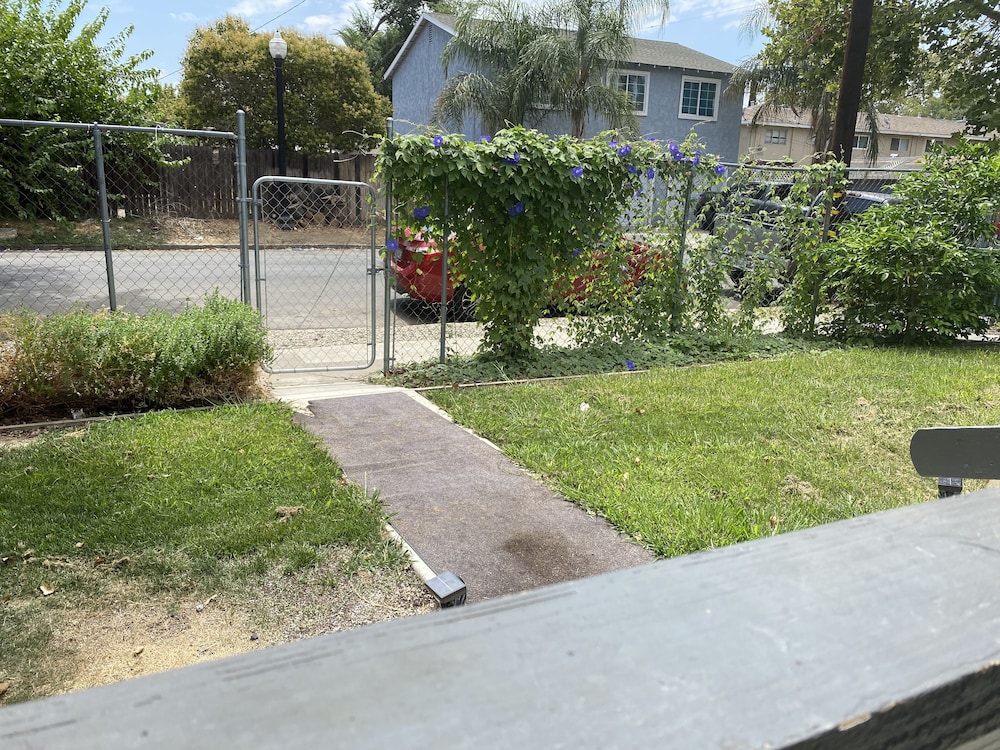 Photo 7