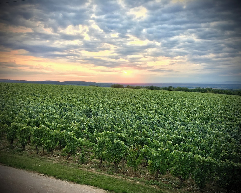 Domaine Joseph Lafarge