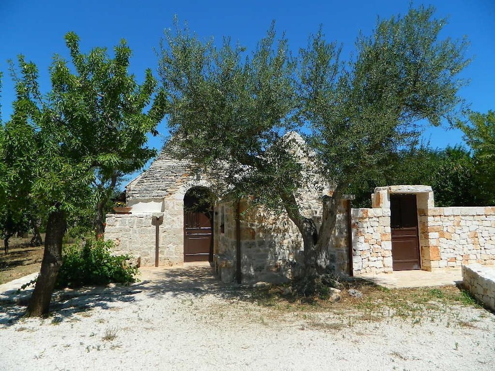 Photo 29