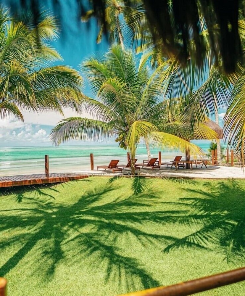 Carneiros Paradiso