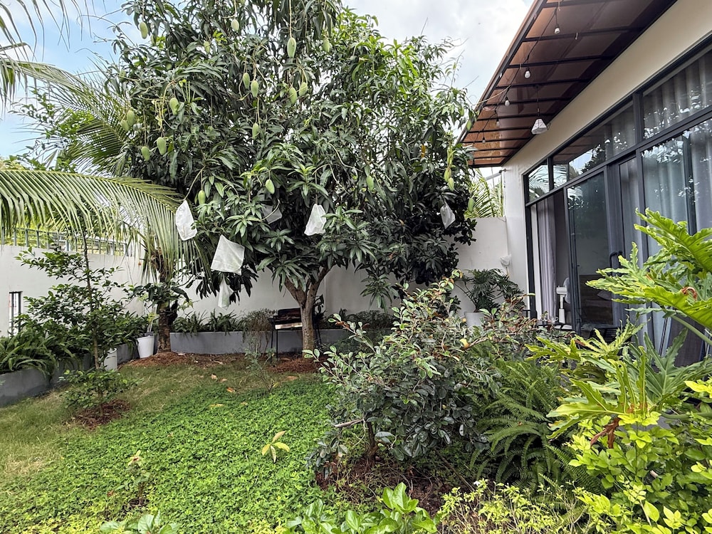 HOMESTAY HALONA