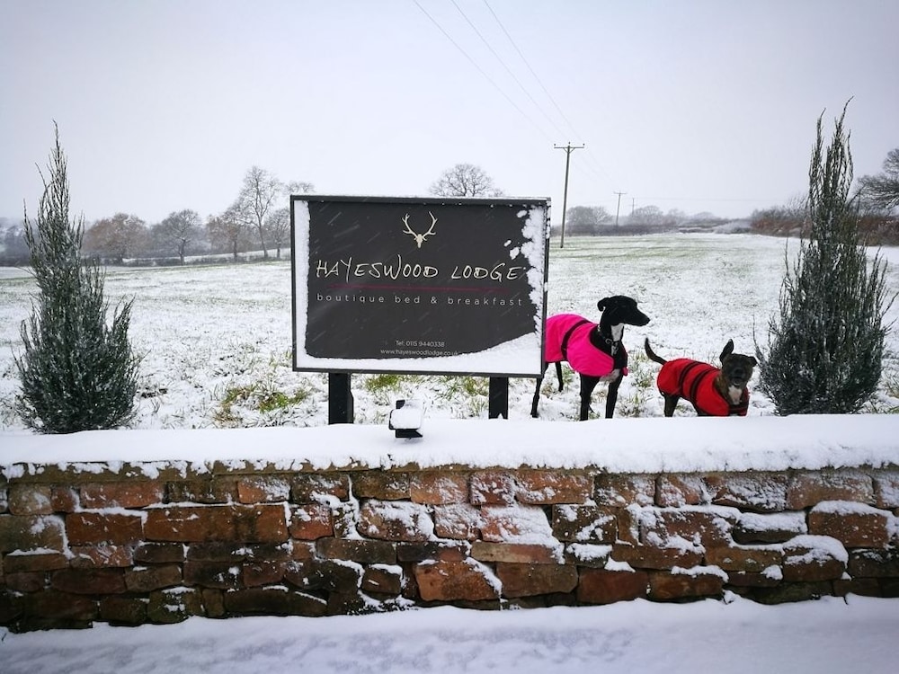 Hayeswood Lodge Luxury Accommodation