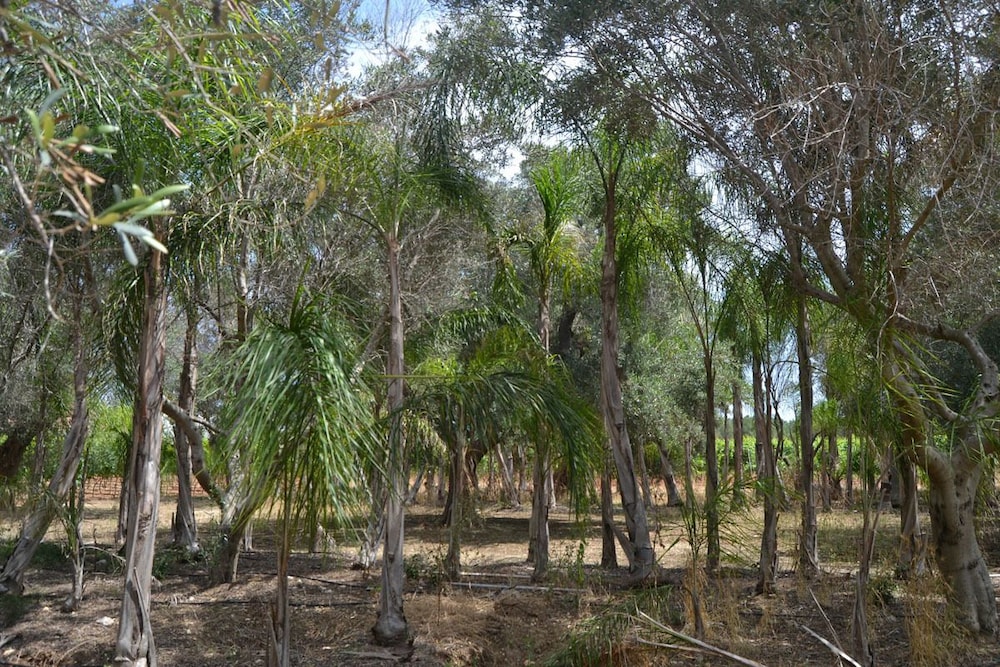Tenuta Annibale