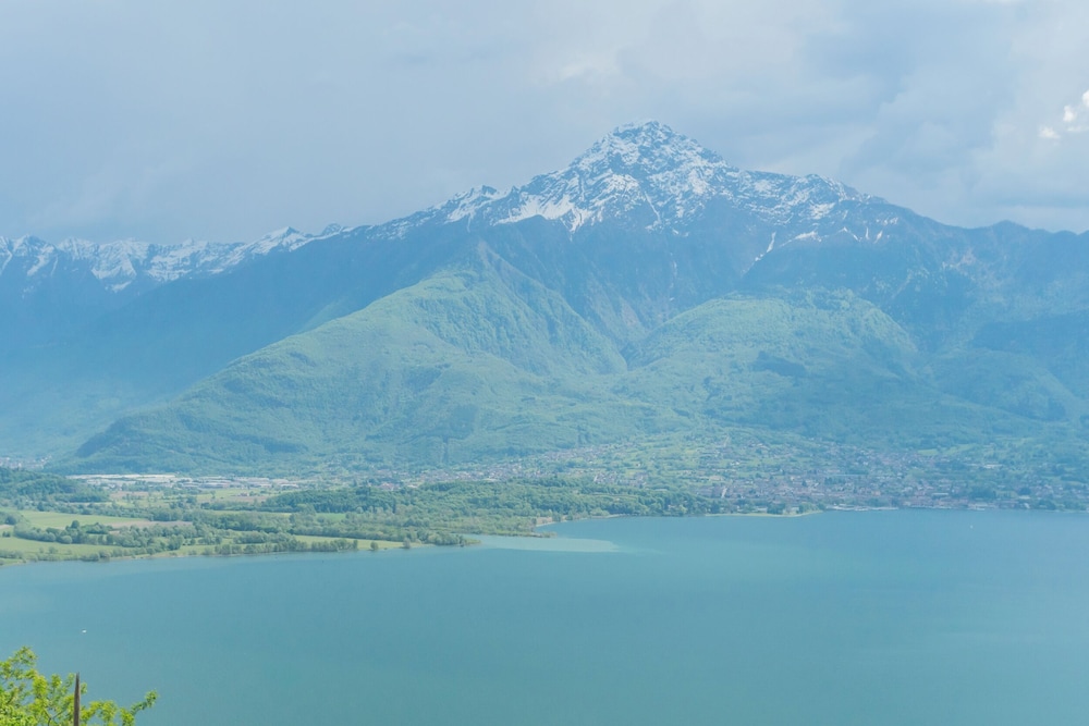 Blooms by the Lake by Rent all Como