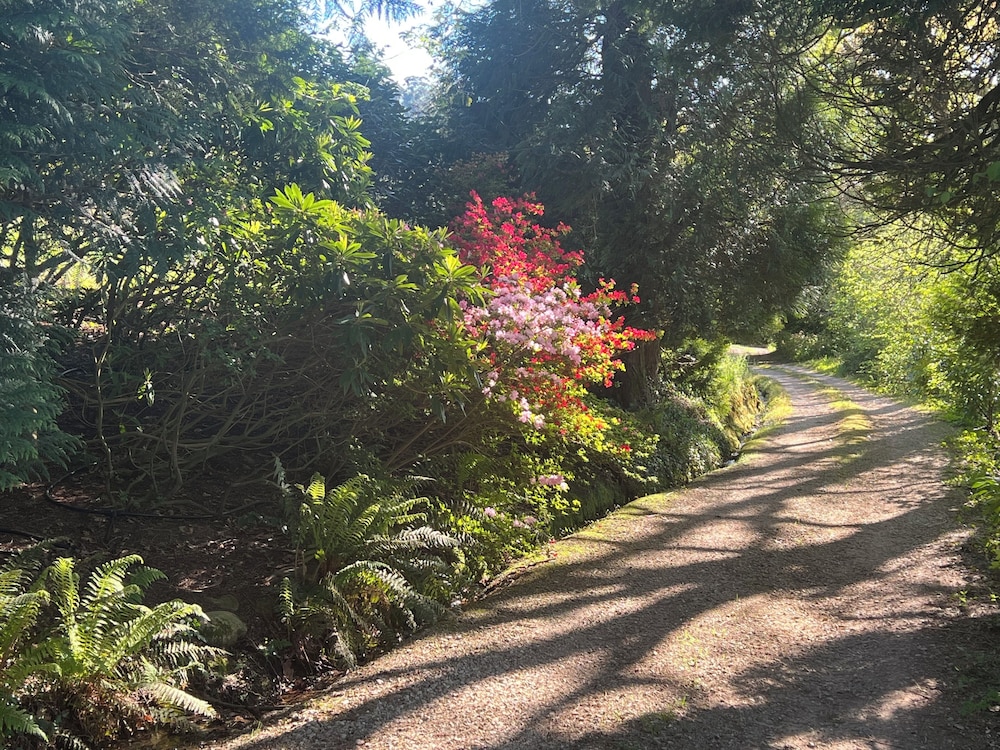 Finca La Peñiga