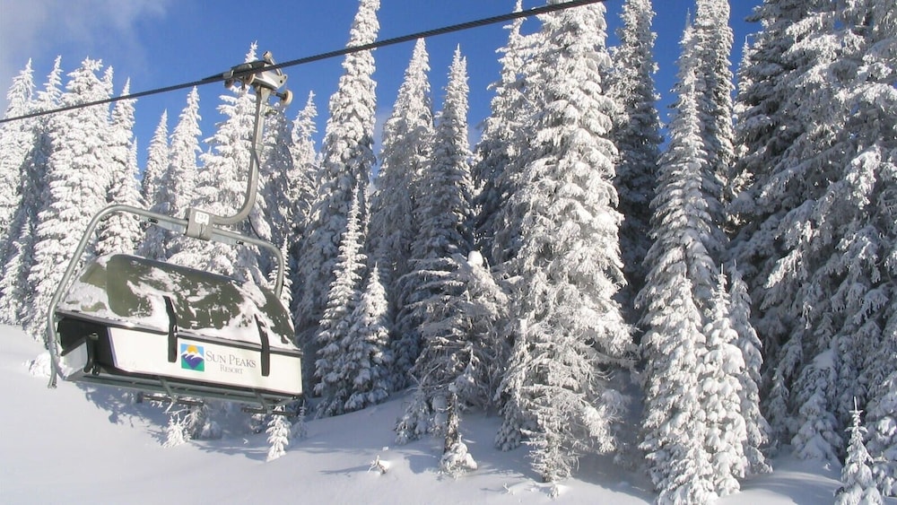 Snow Creek Village #20 By Bear Country-2