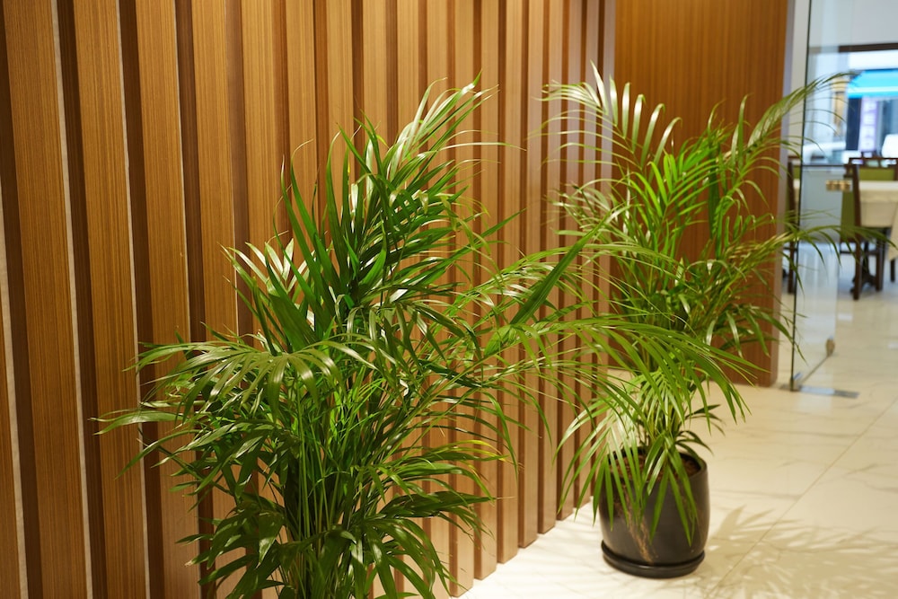 Mira Otel Alsancak - Image 15