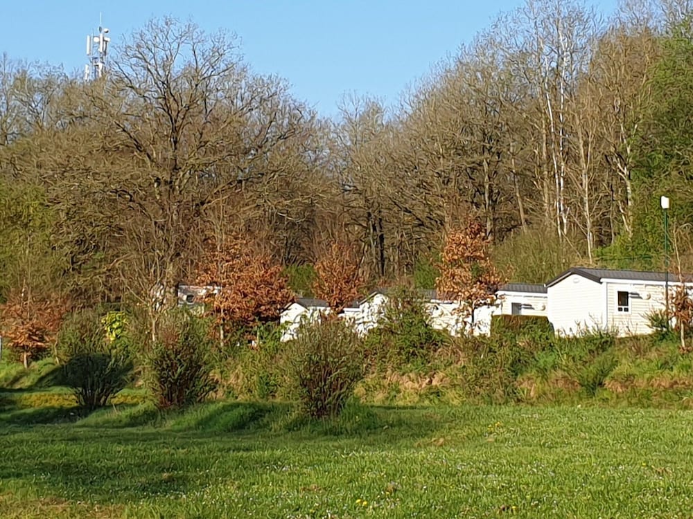 Woodland Lodge Retreat in the Ardennes