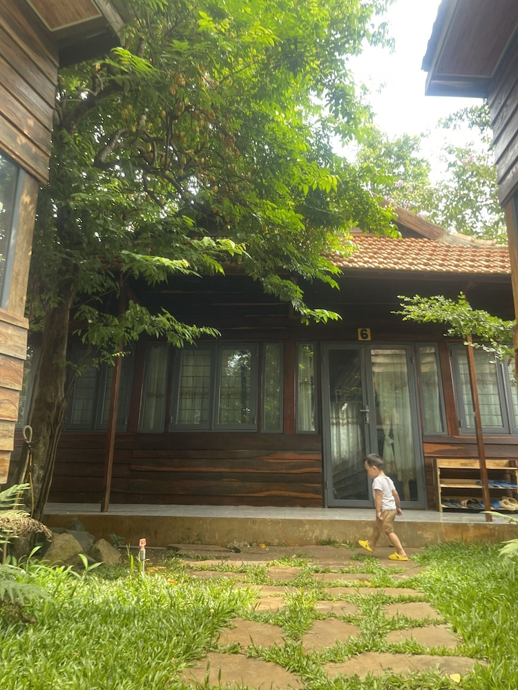 Photo 11