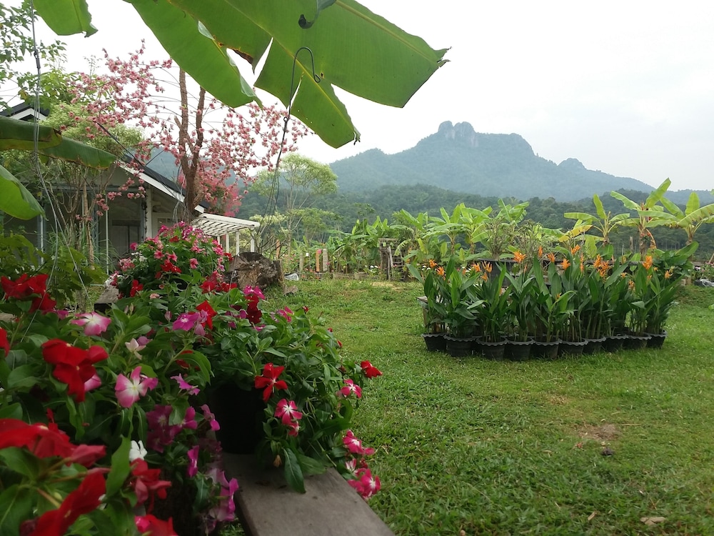 Him doy muang pan