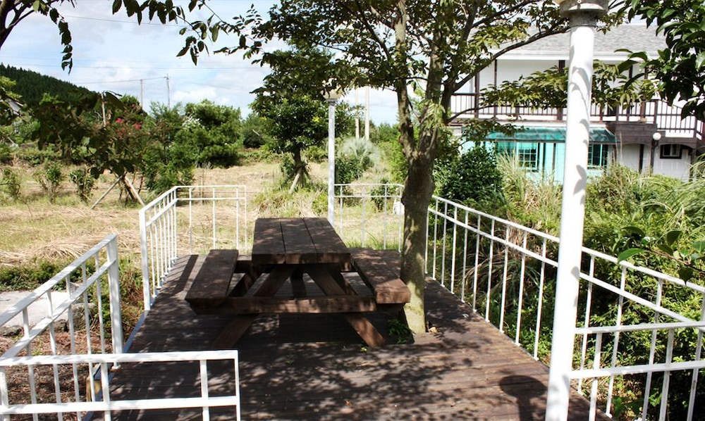 Sharon's House