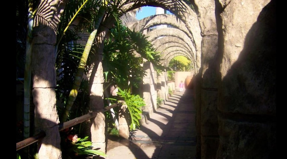 Photo 25