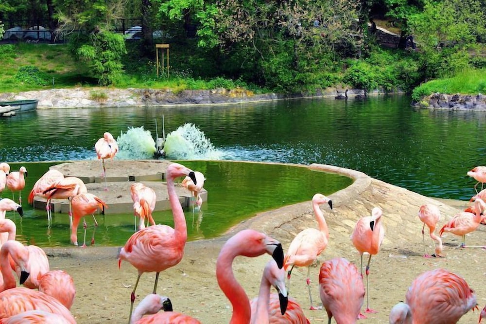 Plaisirs Nature à La Pignade