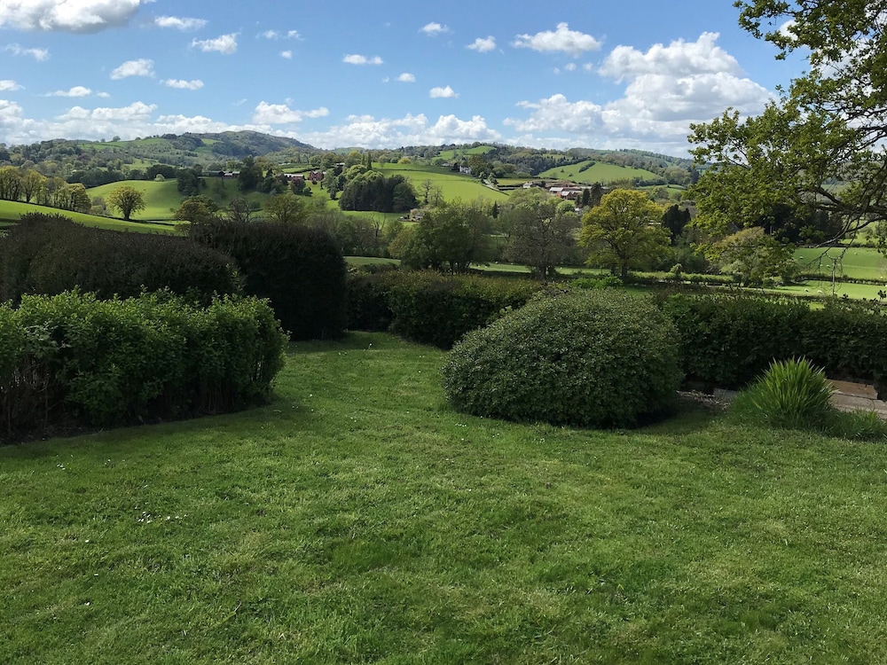 Berwyn View