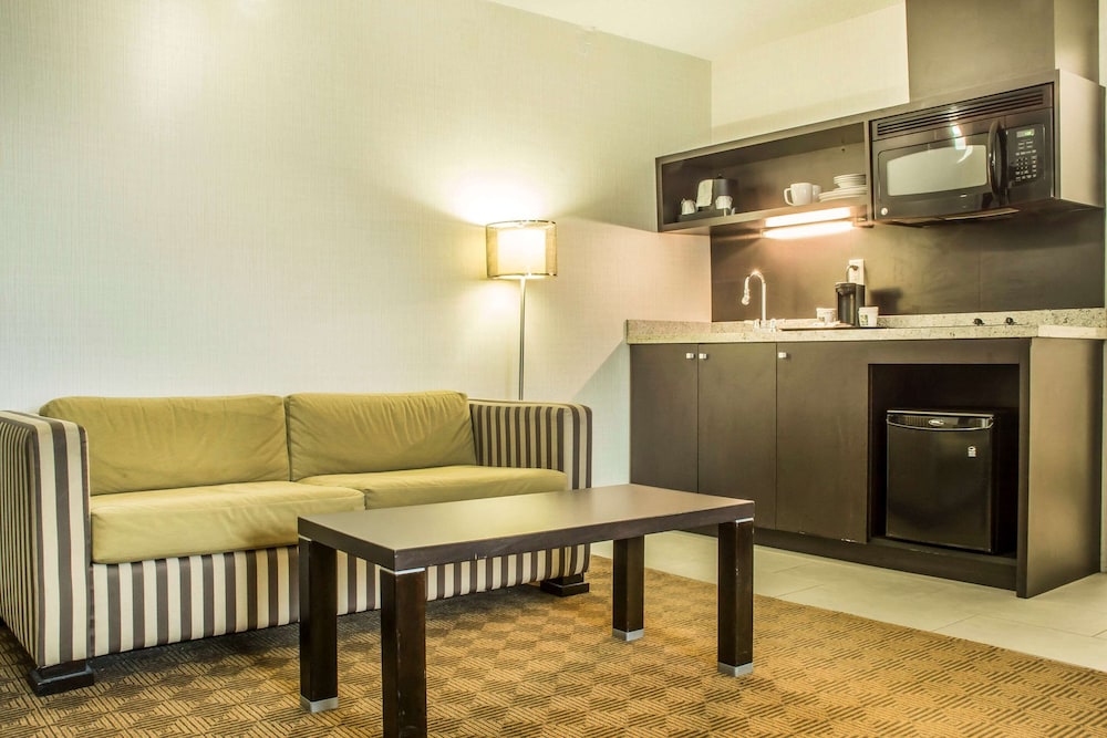 Quality Hotel - Property Image 25