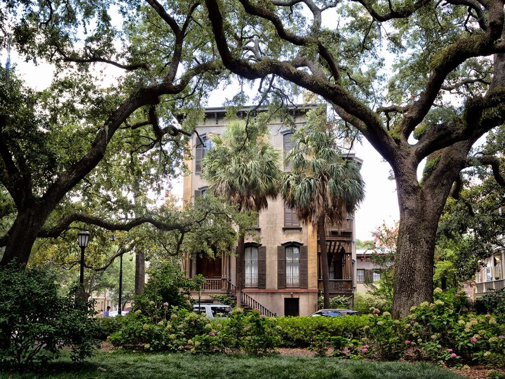 Southern Belle Carriage House view 4