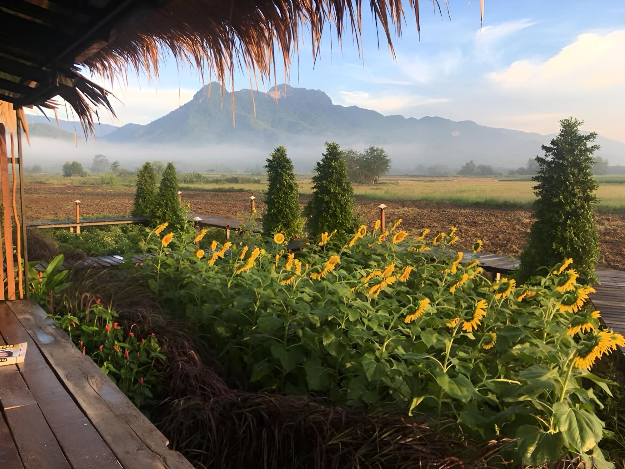 Le Kuna Farm Stay