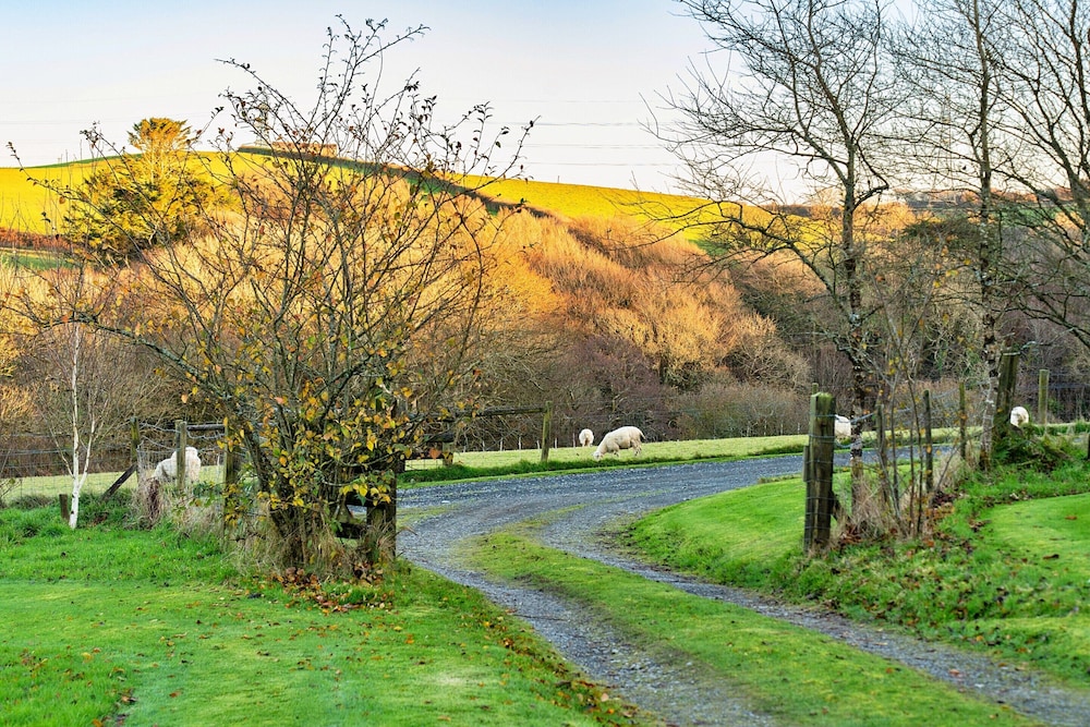Studio in Boscastle Near Tintagel Castle
