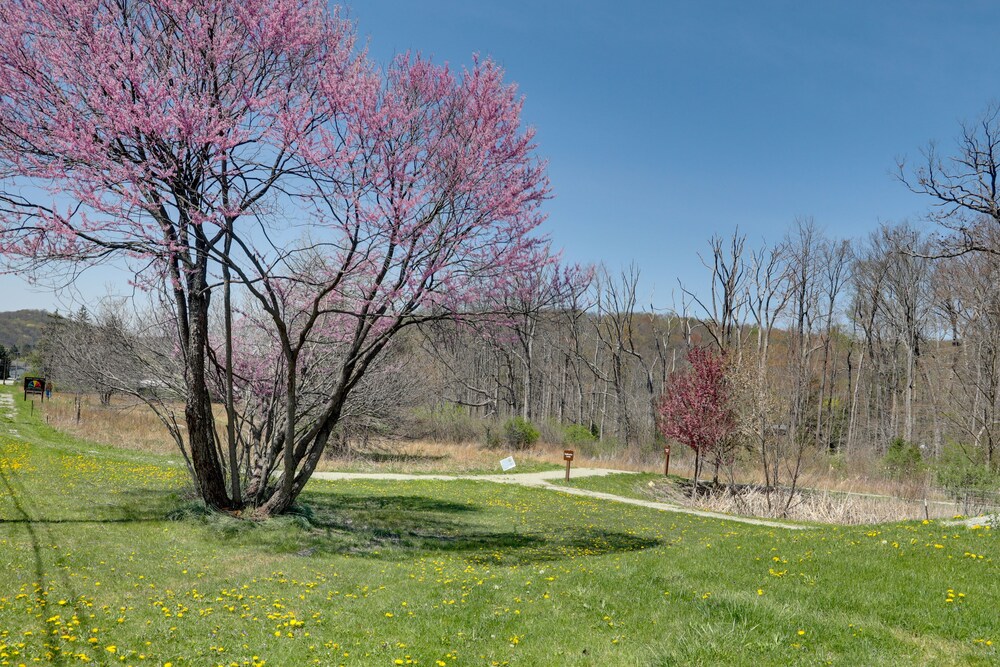 Pet-friendly Pennsylvania Vacation Rental w/ Pool! view 4