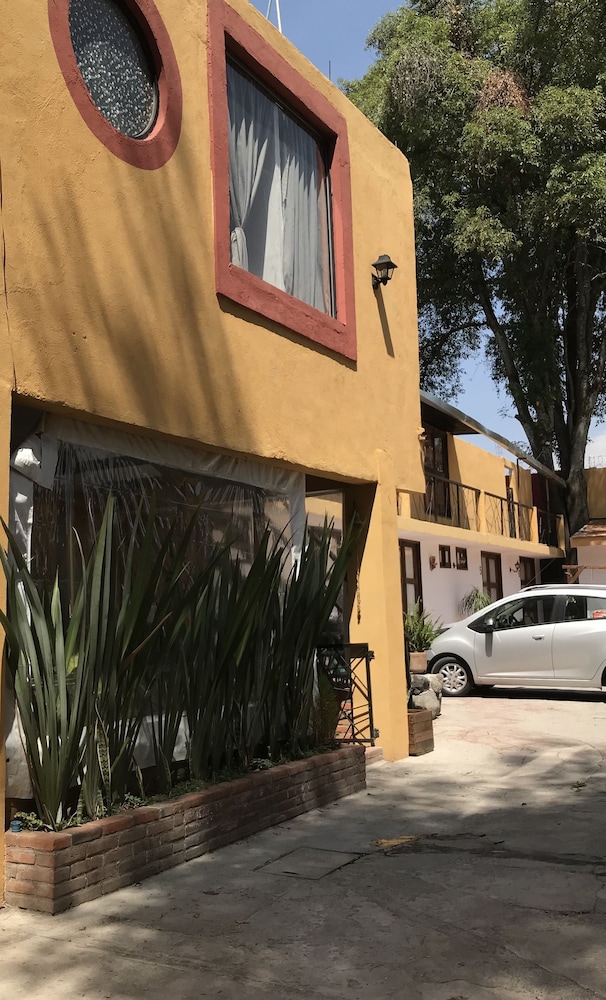 San Angel, photo 31