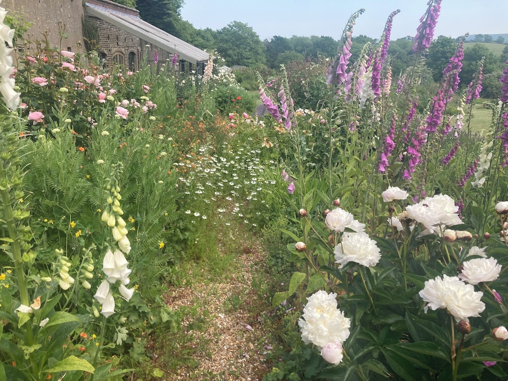 The Walled Garden