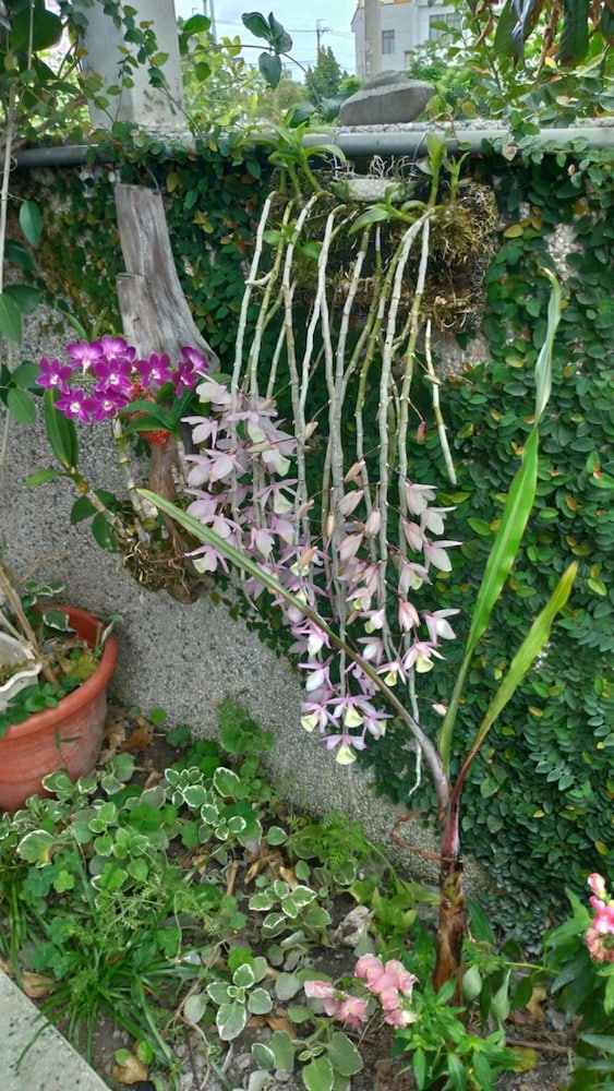 Photo 40