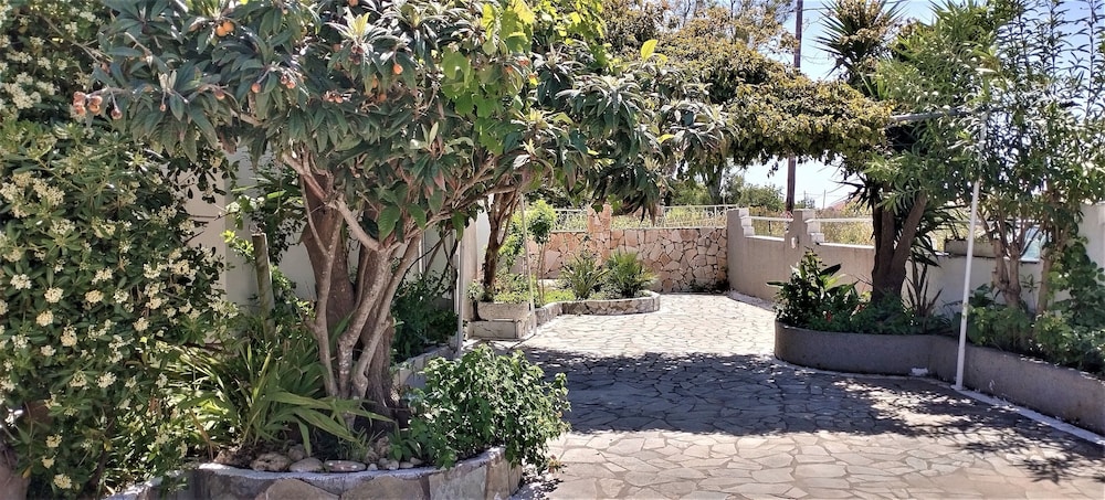 Photo 41