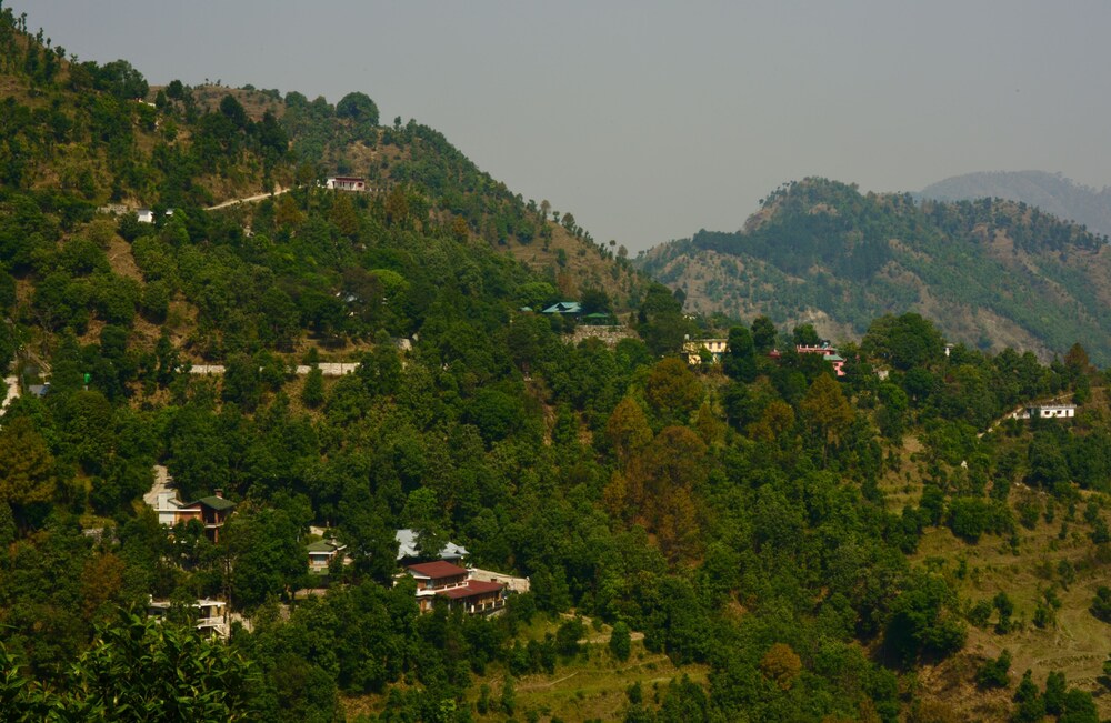 Emerald Trail
