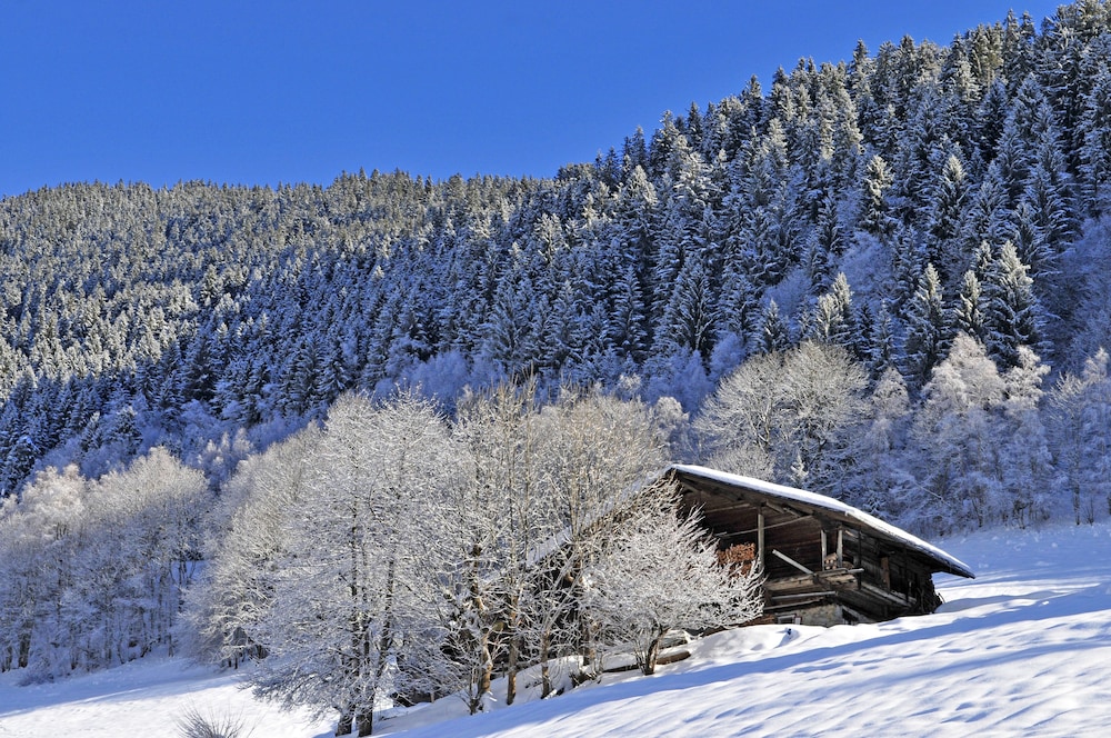 Photo 35