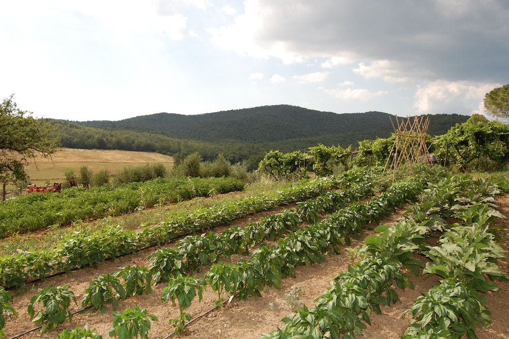 Agriturismo Montepozzalino