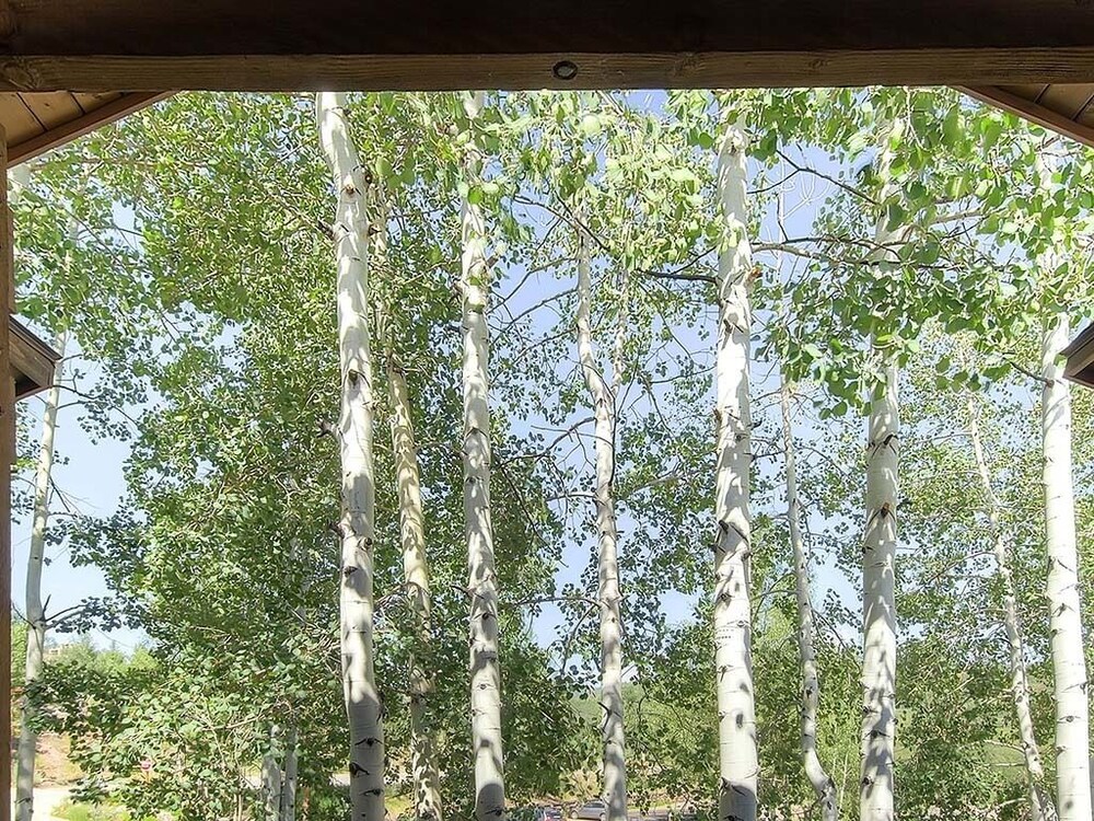 Aspenwood L11 - Studio Condo