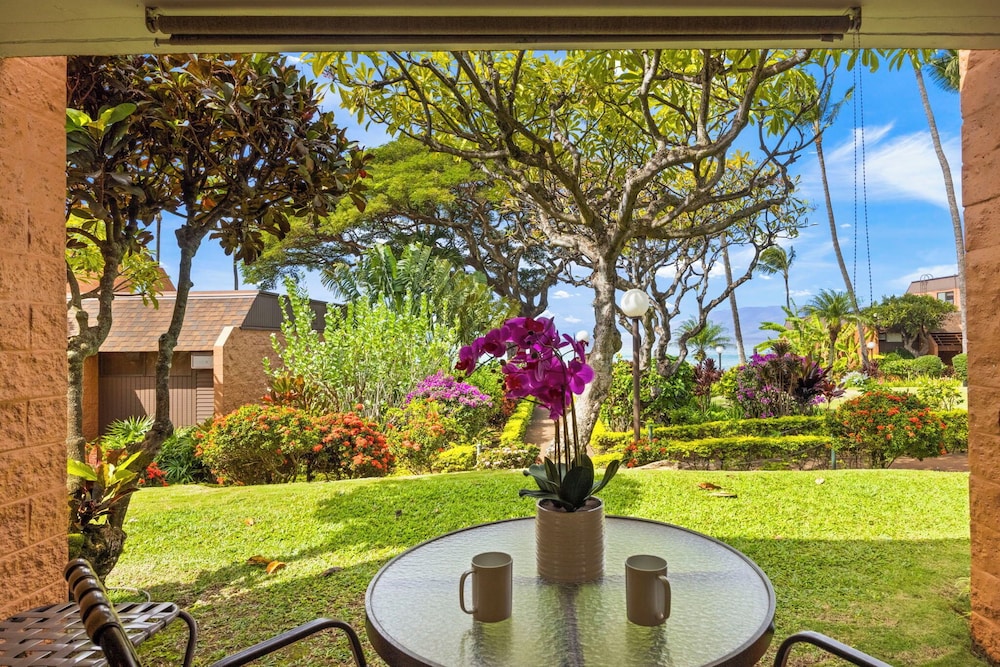 Kuleana Club - 504