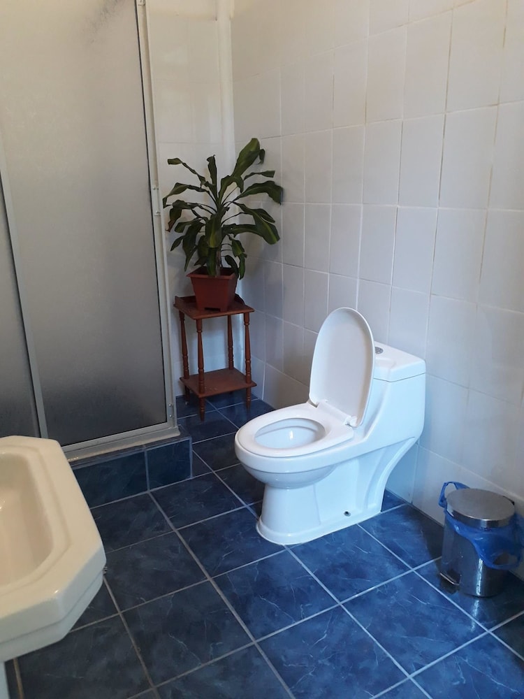 Photo 40