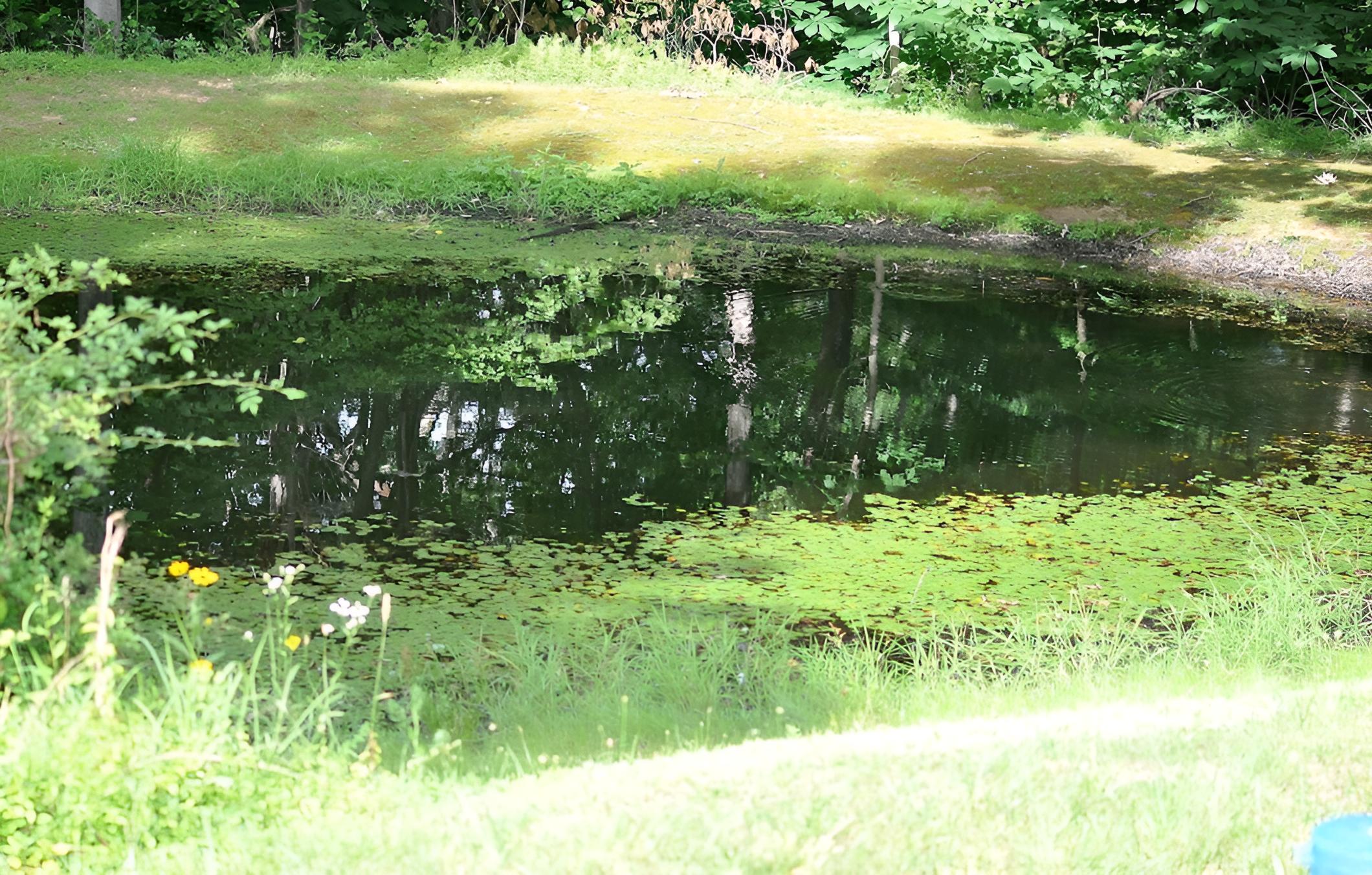Photo 13