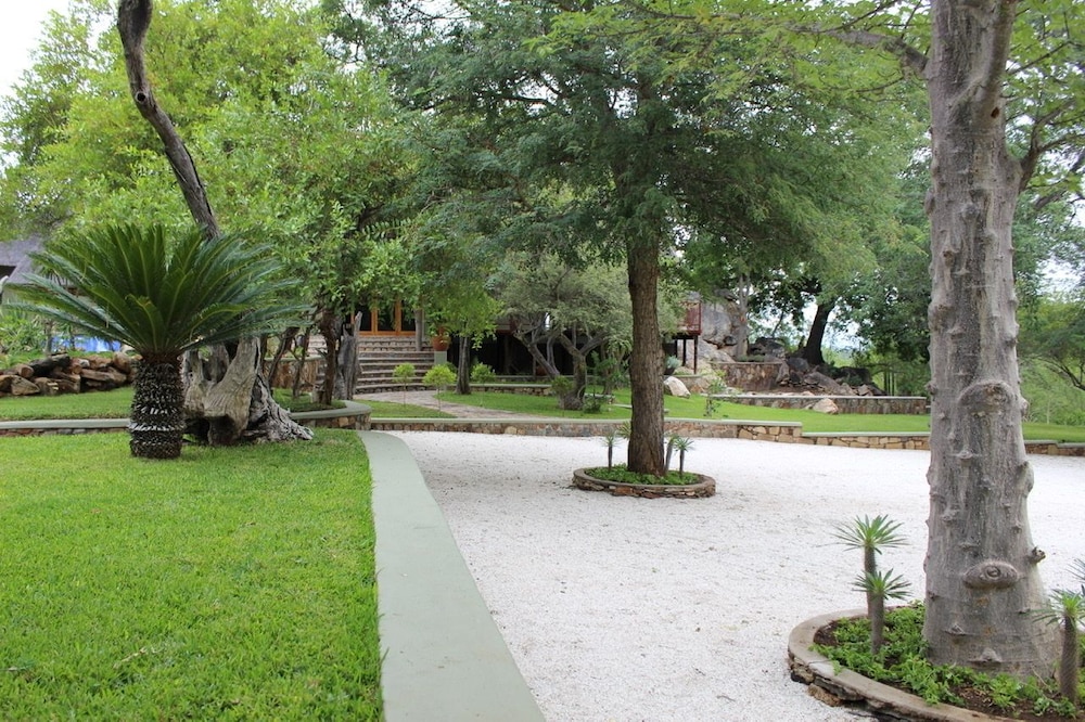Photo 11